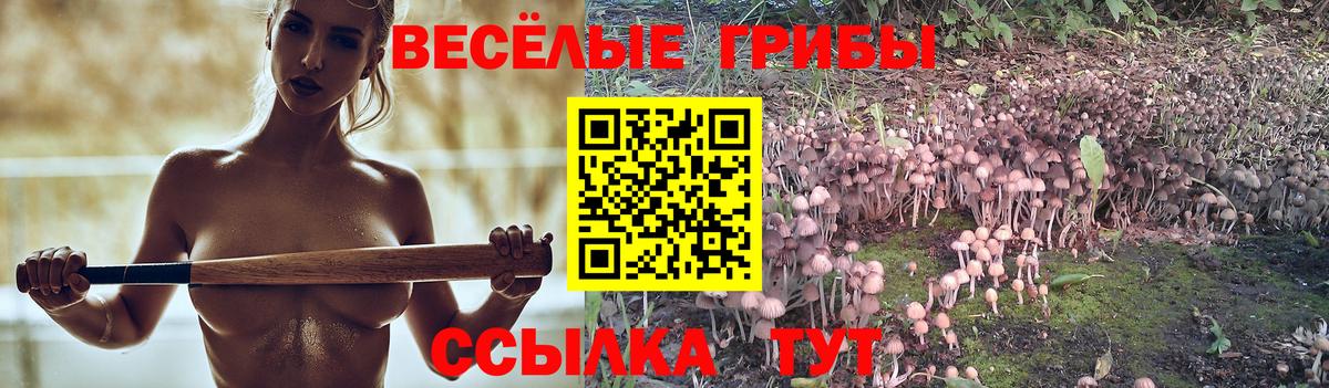 Галлюциногенные грибы мицелий  Псилоцибиновые грибы мухоморы  купить наркотики сайты  Вход с VPN  Кизилюрт 